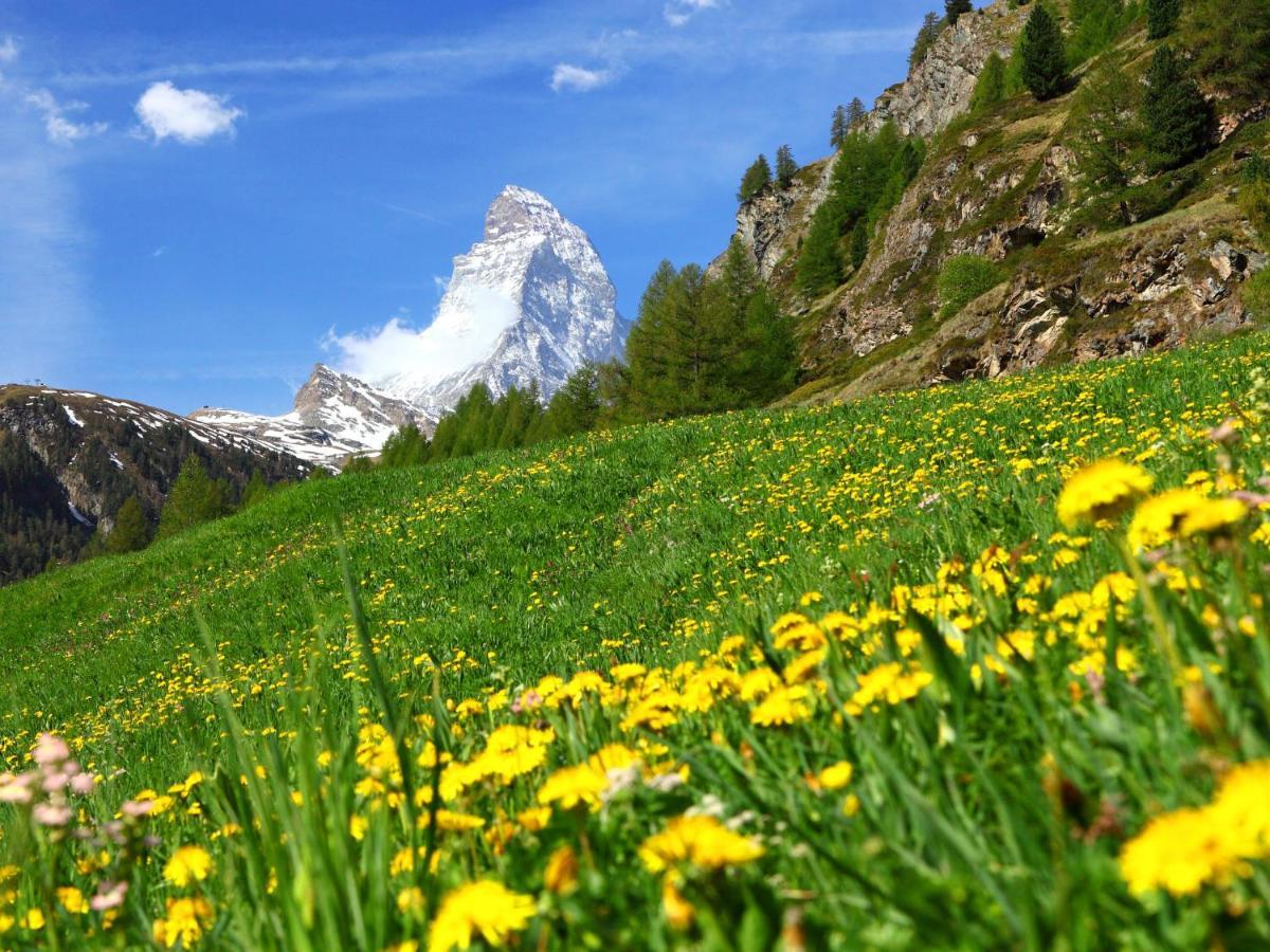 Apartment Select By Interhome Zermatt Exterior photo